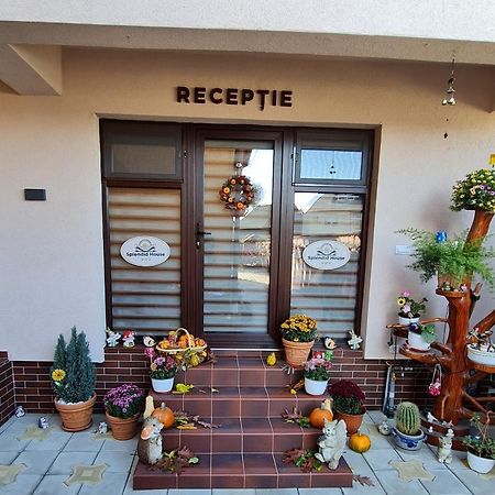Splendid House Hotel Fagaras Bagian luar foto
