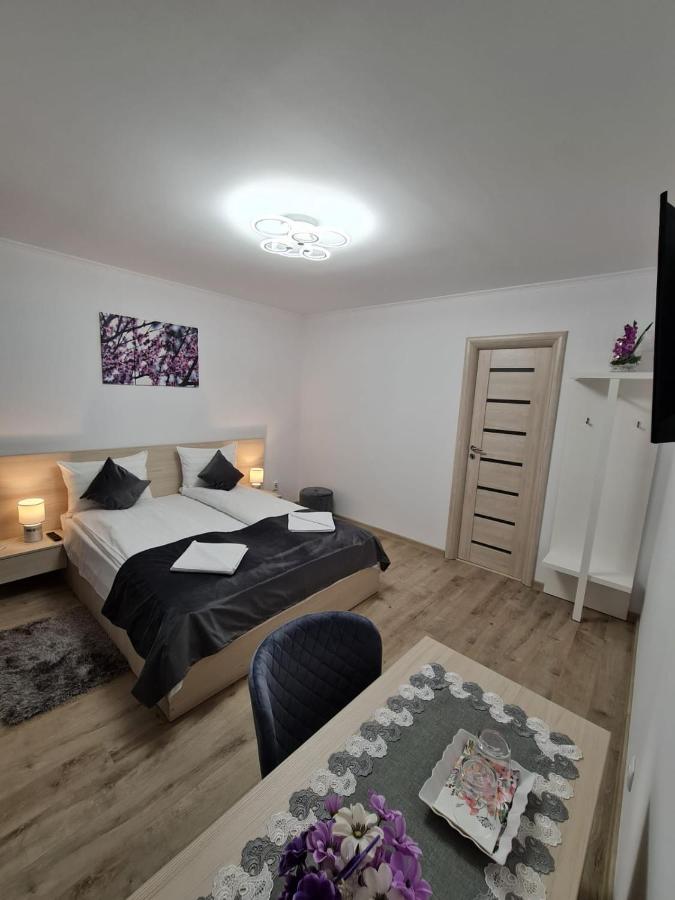 Splendid House Hotel Fagaras Bagian luar foto