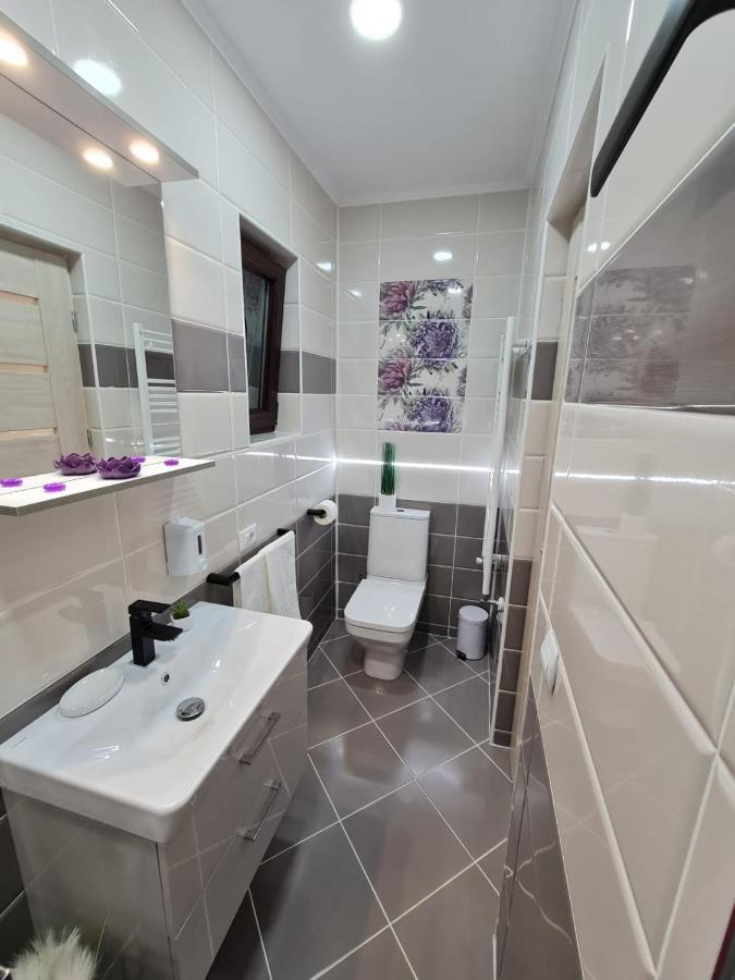 Splendid House Hotel Fagaras Bagian luar foto