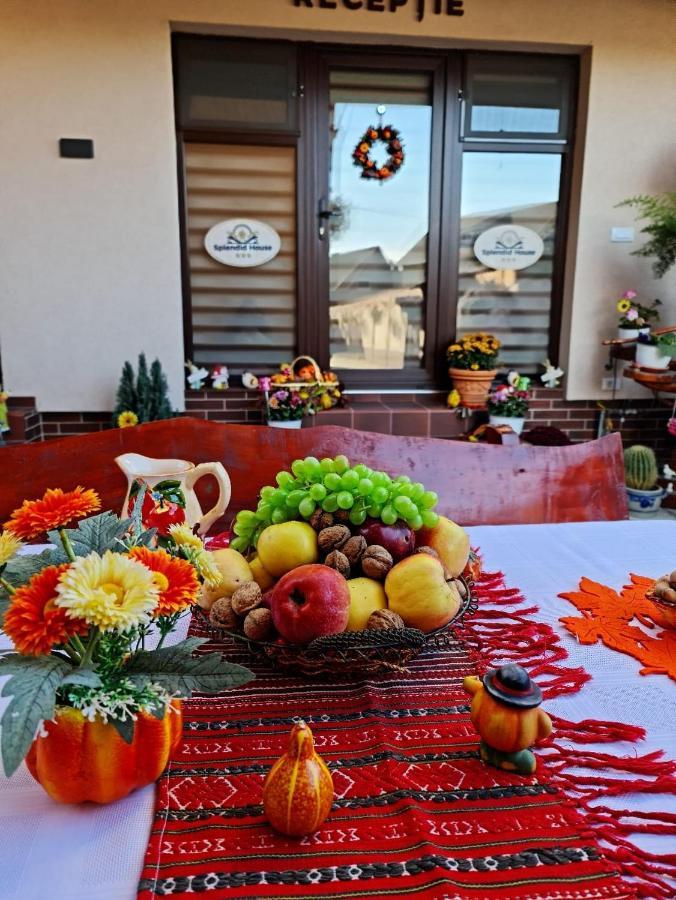Splendid House Hotel Fagaras Bagian luar foto